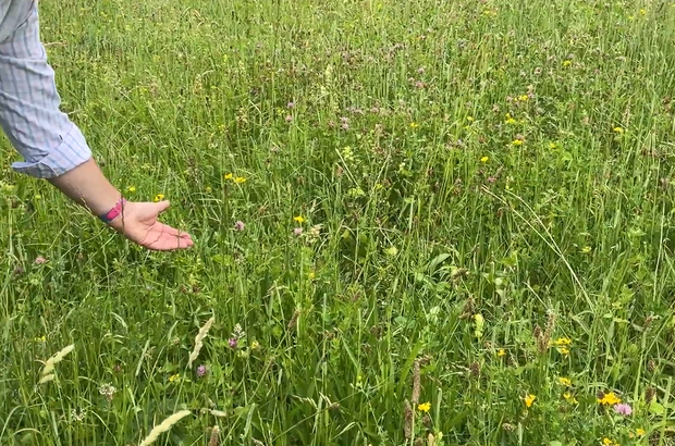 Defra